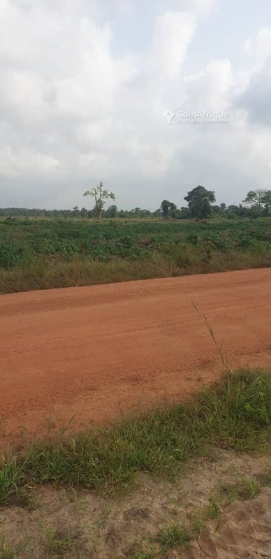 Terrain 400 m2 + ACD global à Jacqueville-tomatékro