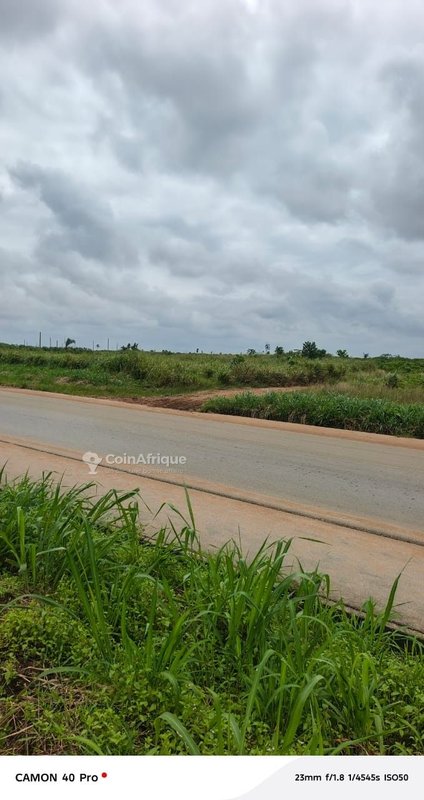 Terrains 400 m2 avec ACD global à Bingerville