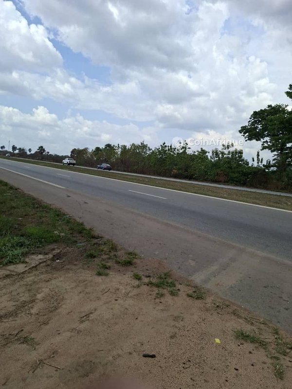 Parcelle 40 hectares avec t.f. en bordure de l'autoroute à Toumodi