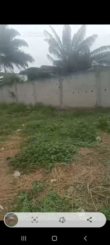 Terrain commercial de 600m² - Cocody — photo 5
