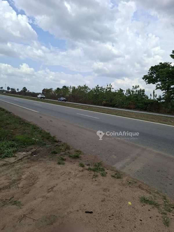 Parcelle 40 hectares + t.f. à toumodi , en bordure de l'autoroute