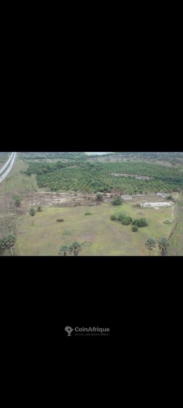 Parcelle 40 hectares + t.f. à toumodi , en bordure de l'autoroute — photo 2