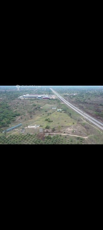 Parcelle 40 hectares + t.f. à toumodi , en bordure de l'autoroute — photo 3