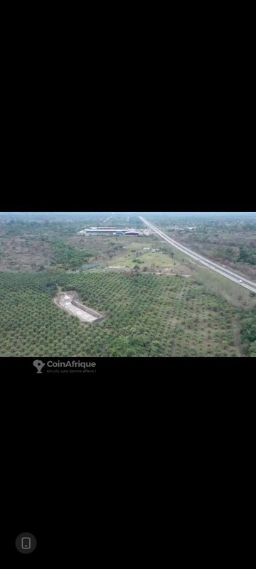 Parcelle 40 hectares + t.f. à toumodi , en bordure de l'autoroute — photo 4