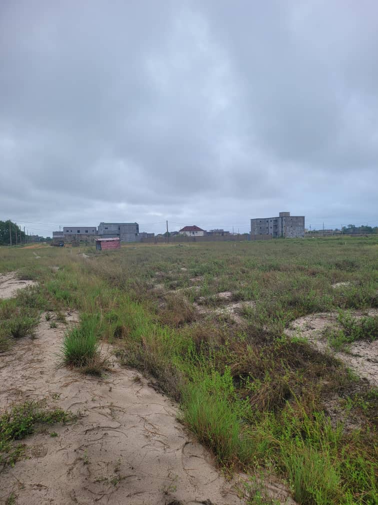 Terrain 8 ha Al baie des milliardaires