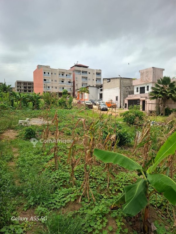 Terrains 500 m2 avec acd à bingerville