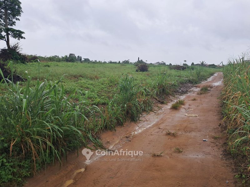 Terrains 500m² à Bonoua medina — photo 3