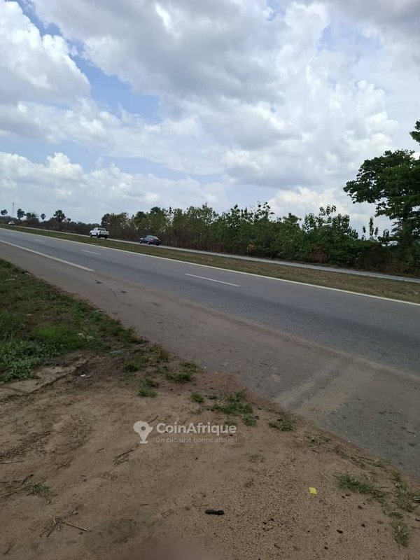 Parcelle 40 hectares + t.f. à toumodi , en bordure de l'autoroute
