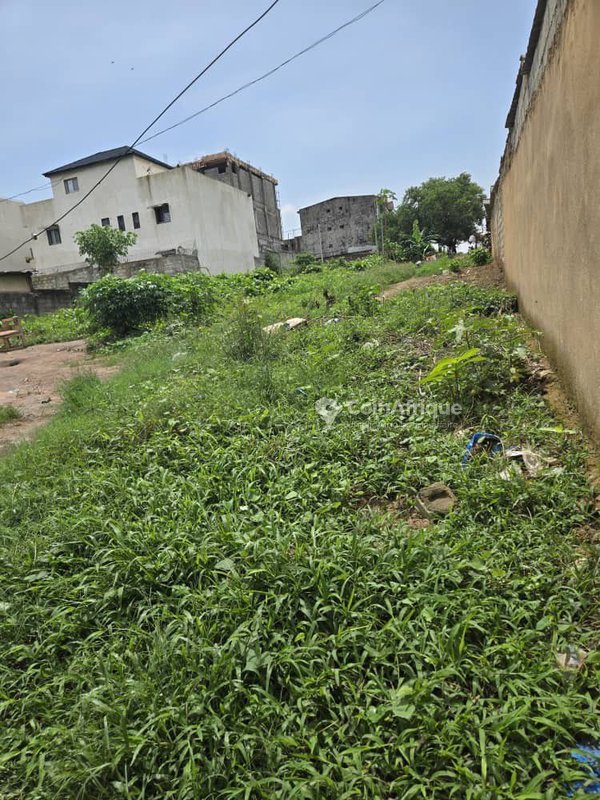Terrain 686 m² clôturé à Cocody Angre nouveau chu