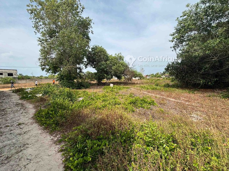 Terrains 573m² - Assinie