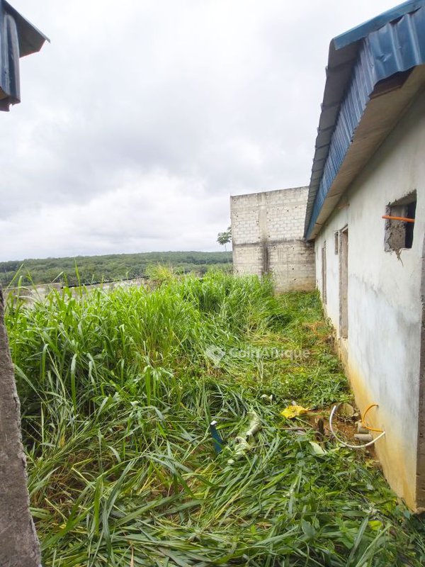 Vente cour à songon ayiwahi1 100 m² — photo 5
