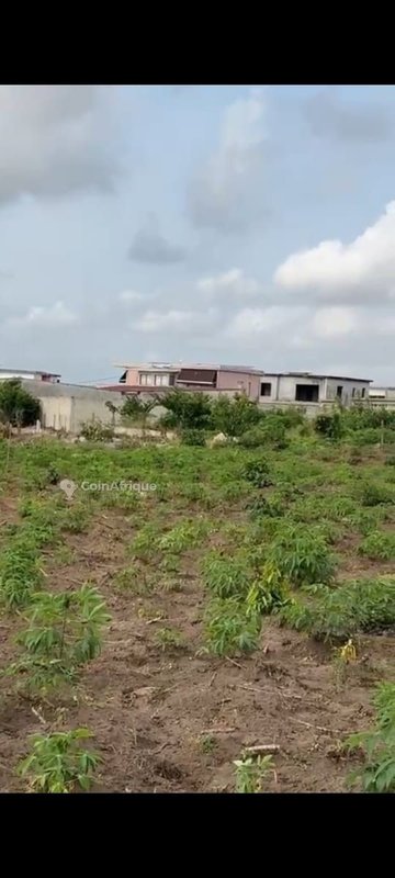 Terrain 1100 m² avec acd à bingerville-anan