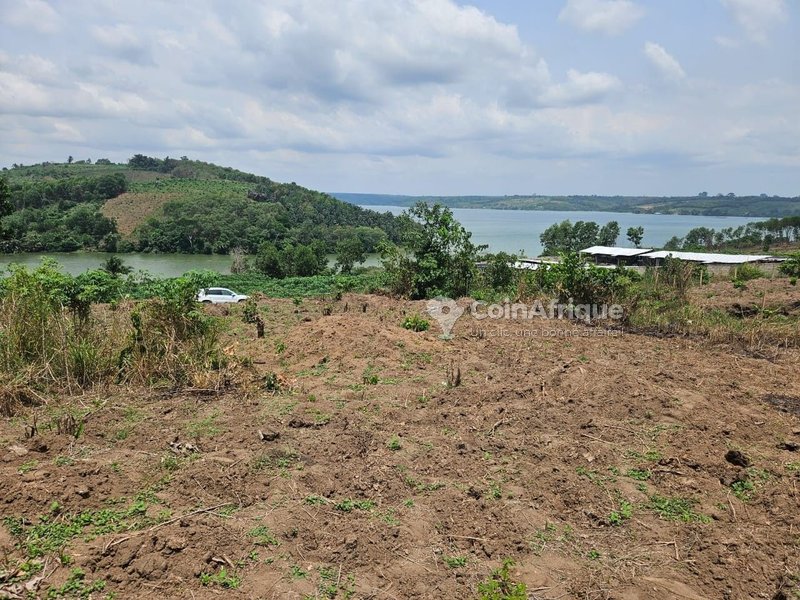 Terrain 500 m2 - Bingerville