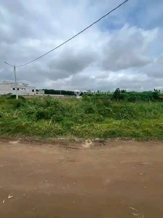Terrain 375m2 - Bingerville