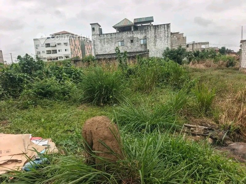 Terrain 600m² - bingerville