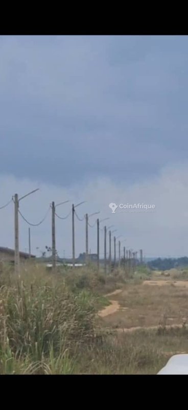 Terrains à bonoua begneri superficie lots 500m2